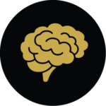 brain